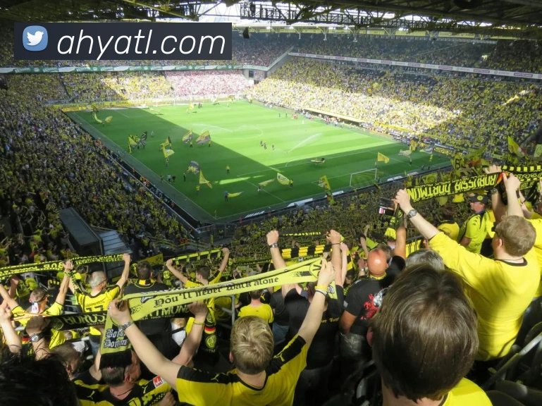 xc体育APP 体育赛事宣传图